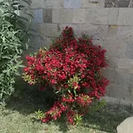 Appartamento Sea Garden Sveti Vlas