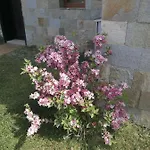 Appartamento Sea Garden *