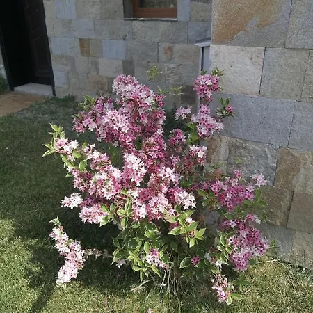 Apartmán Sea Garden *